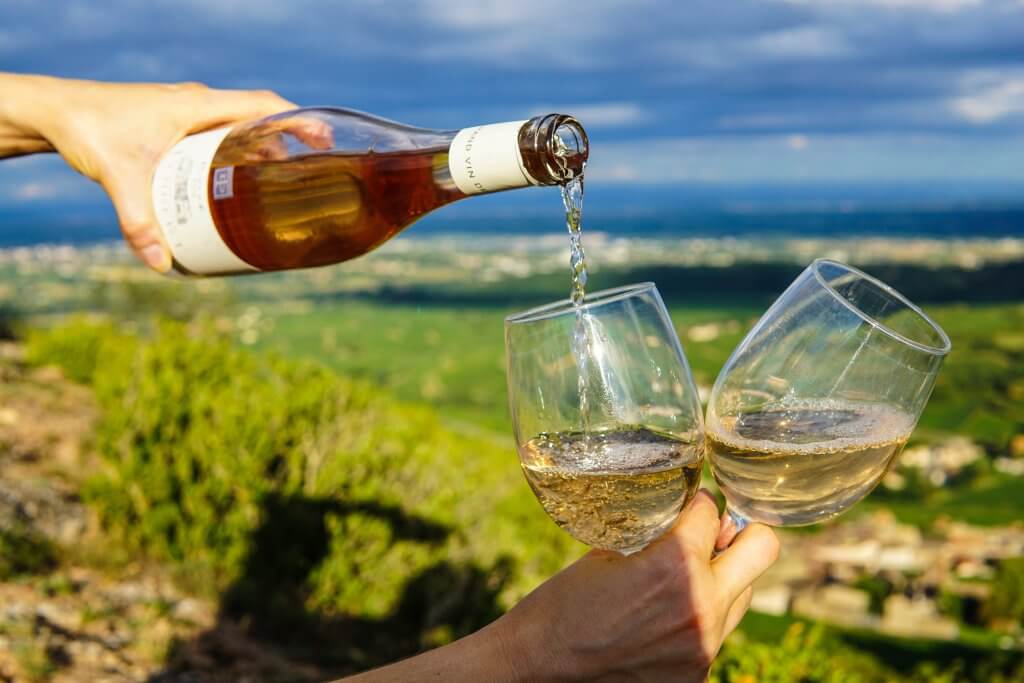 wine being poured into two glasses in the middle of a French vineyard