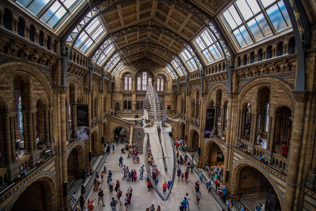 interior of the London Natural History museum