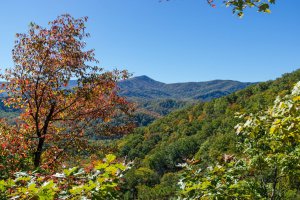 How to Visit Great Smoky Mountains National Park on a Budget