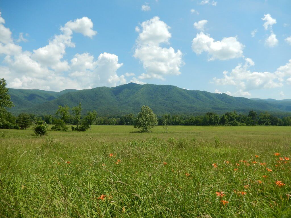 Wide open field on a sunny day at Cades Cove in Great Smoky Mountains National Park