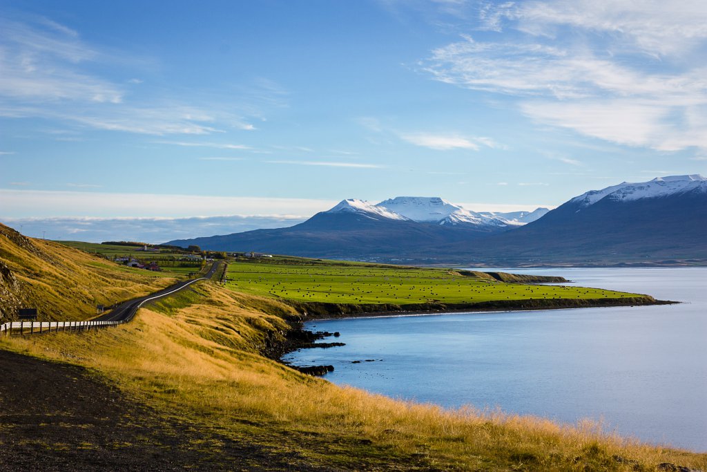 shoreline of a lake in iceland