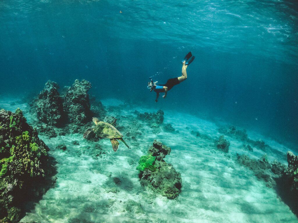 woman snorkeling with a sea turtle in Hawaii