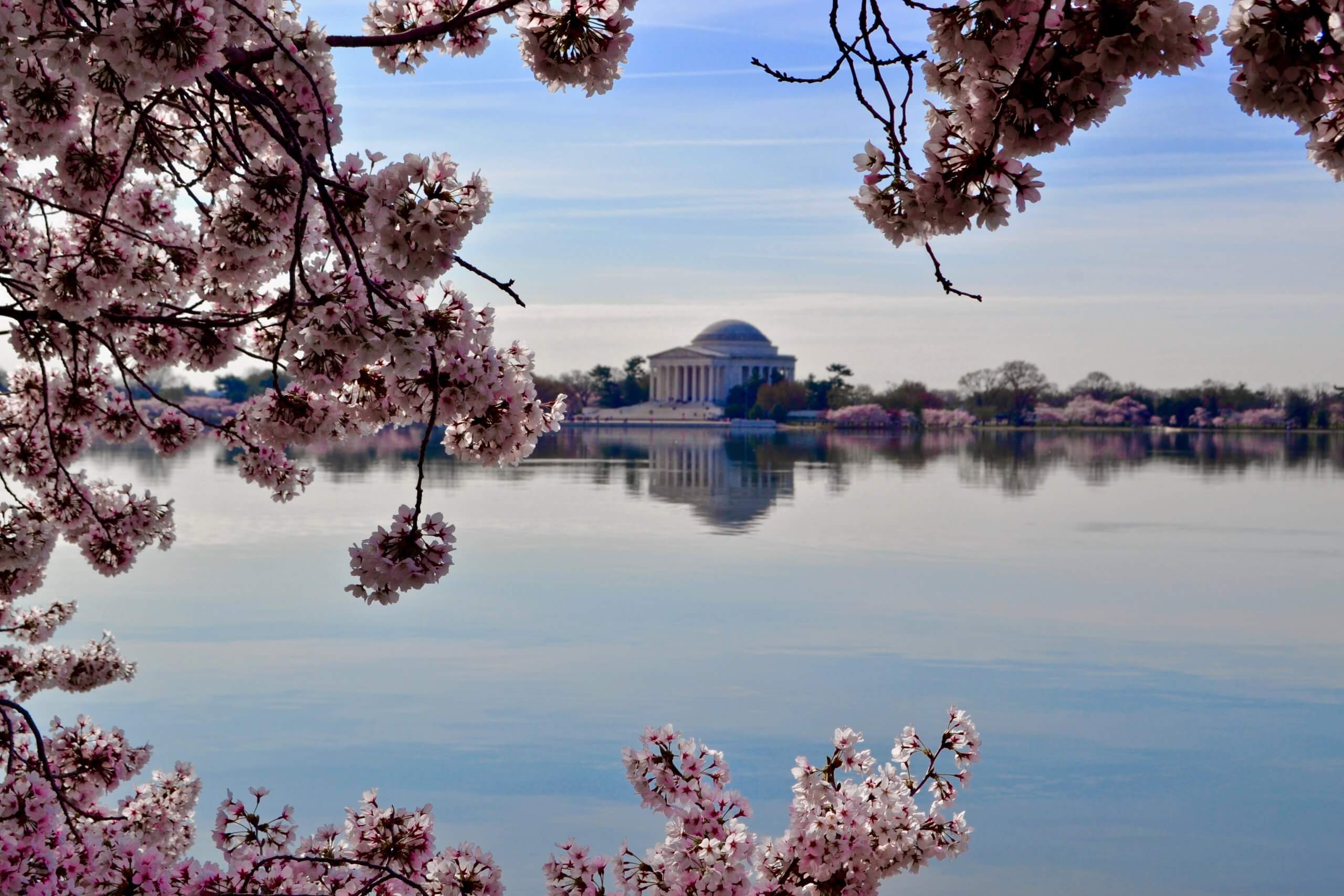 how to visit Washington DC on a budget