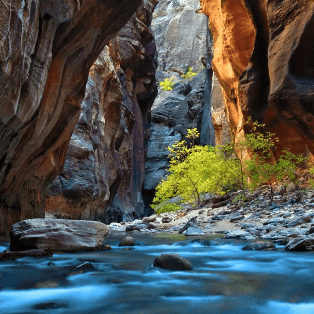 The Narrows